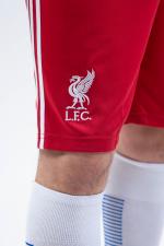 ВЗРОСЛАЯ ФОРМА ЛИВЕРПУЛЬ 25/26 (ДОМАШНЯЯ) ВЗРОСЛАЯ ФОРМА ЛИВЕРПУЛЬ 25/26 (ДОМАШНЯЯ)
